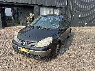 Avarii taxi Renault Grand-scenic 2.0-16v 7-persoons 2006/4